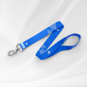 Lanyard